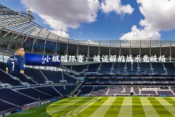 小组循环赛:被误解的战术竞技场