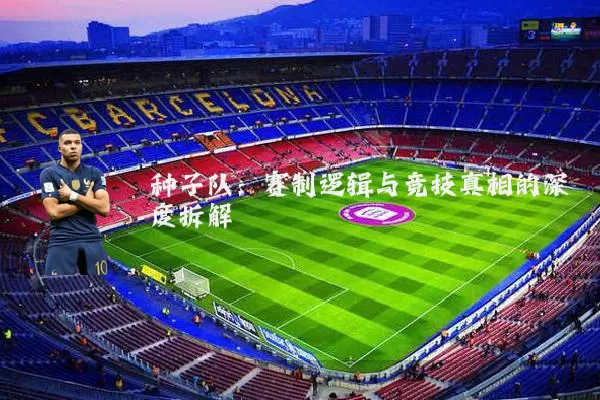 种子队:赛制逻辑与竞技真相的深度拆解